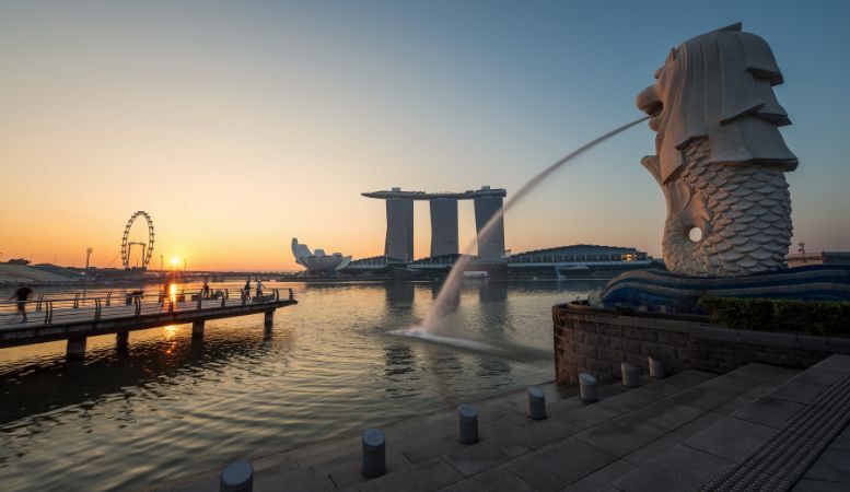 sea lion tourist spot in singapore