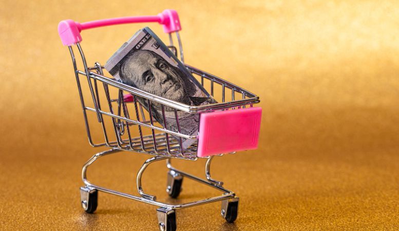 small shopping cart with one hundred dollar banknote